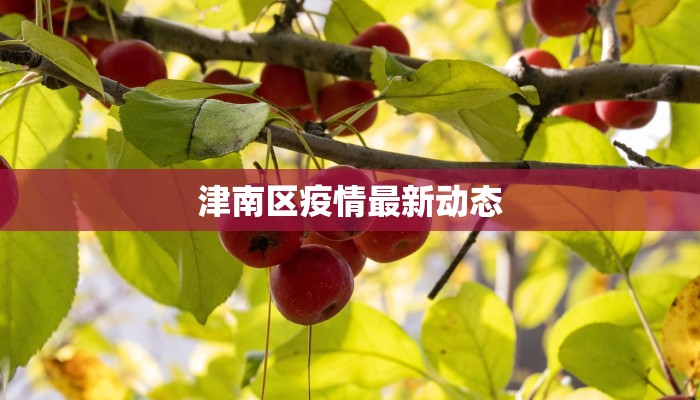 疫情最新报告砚山