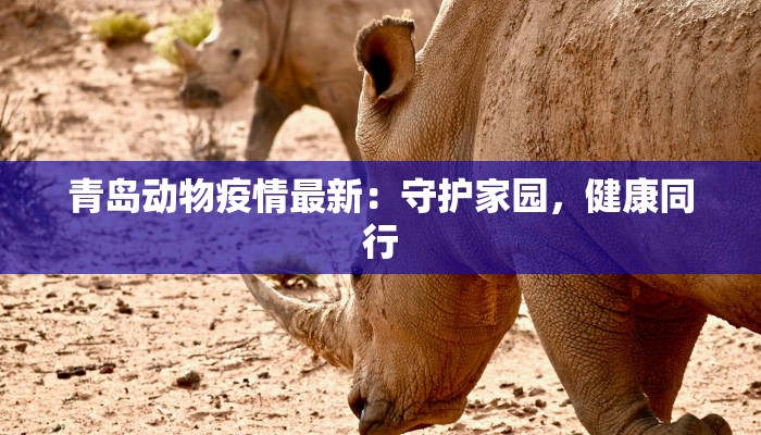 茅箭区疫情公告最新 茅箭区疫情公告最新