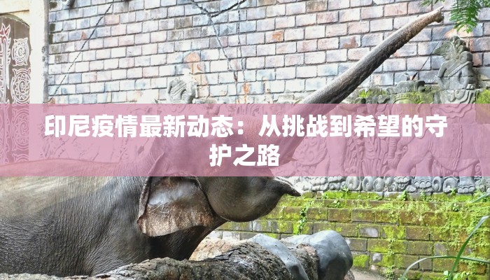 印尼疫情最新动态:从挑战到希望的守护之路 印尼疫情最新动态:从挑战到希望的守护之路