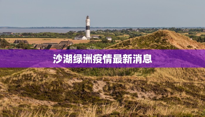 沙湖绿洲疫情最新消息