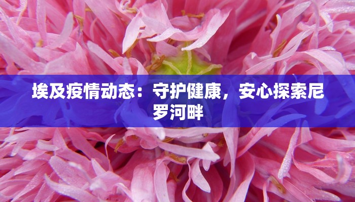 埃及疫情动态：守护健康，安心探索尼罗河畔
