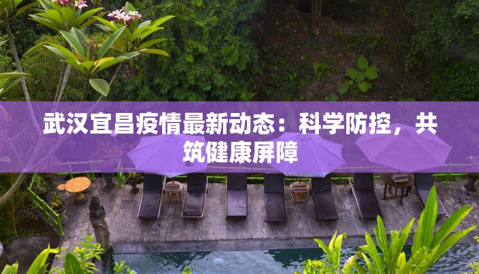 武汉宜昌疫情最新动态：科学防控，共筑健康屏障