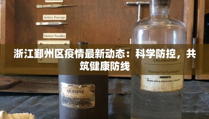 浙江鄞州区疫情最新动态：科学防控，共筑健康防线