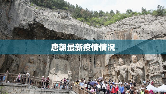 唐朝最新疫情情况