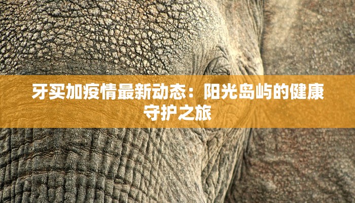 意大利歌诗达最新疫情：安心出行，探索浪漫之都