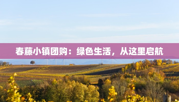 春藤小镇团购：绿色生活，从这里启航