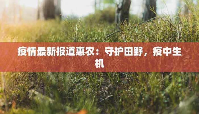 疫情最新报道惠农:守护田野,疫中生机 疫情最新报道惠农:守护田野,疫中生机
