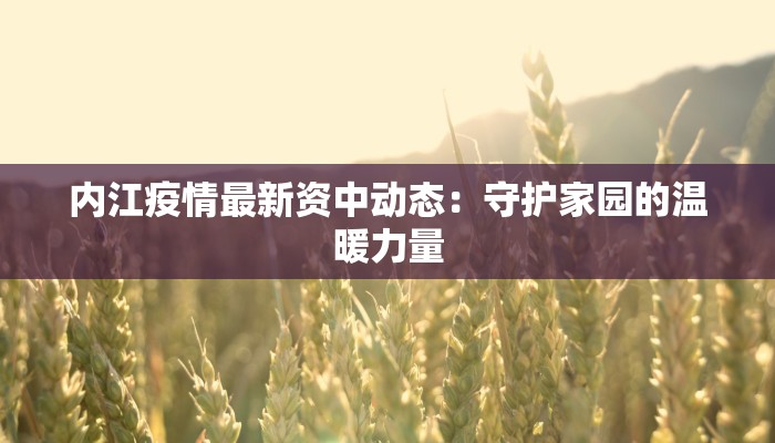 内江疫情最新资中动态:守护家园的温暖力量 内江疫情最新资中动态:守护家园的温暖力量