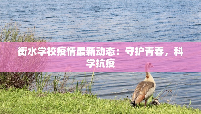 衡水学校疫情最新动态：守护青春，科学抗疫