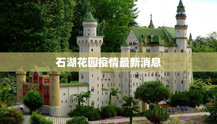 巴西疫情最新指标：从挑战到希望的转折点