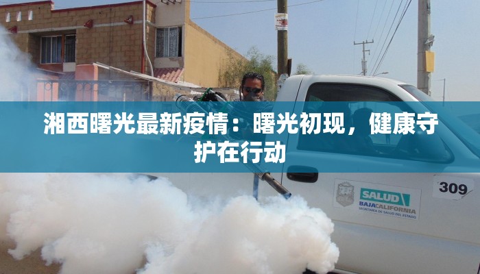 湘西曙光最新疫情：曙光初现，健康守护在行动