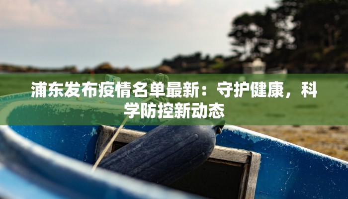 上海大康路疫情最新：守护健康，科学防控新篇章