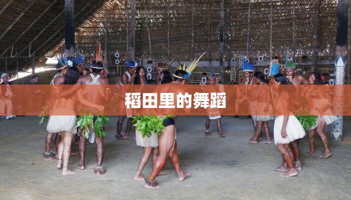 稻田里的舞蹈