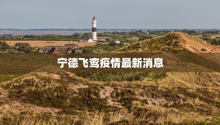 宁德飞鸾疫情最新消息 宁德飞鸾疫情最新消息
