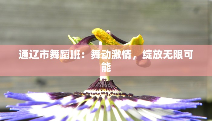 通辽市舞蹈班:舞动激情,绽放无限可能 通辽市舞蹈班:舞动激情,绽放无限可能