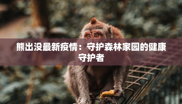 熊出没最新疫情:守护森林家园的健康守护者 熊出没最新疫情:守护森林家园的健康守护者