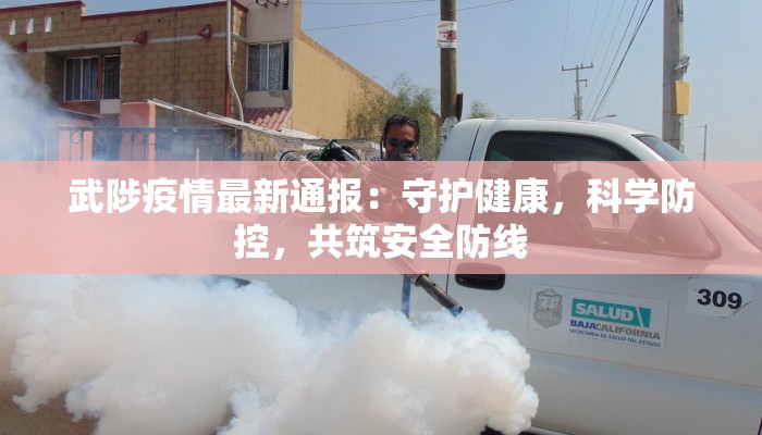 水墨武侠舞蹈：墨韵江湖，舞动英雄梦