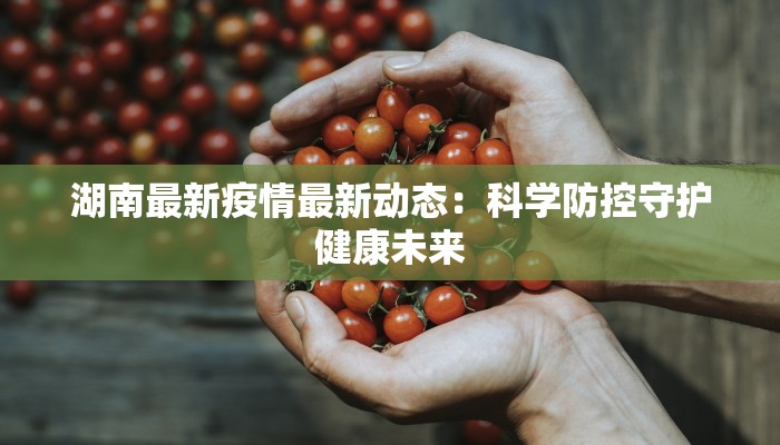 湖南最新疫情最新动态：科学防控守护健康未来