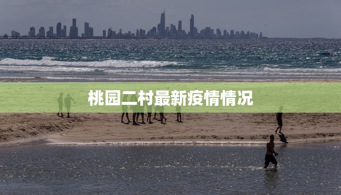 桃园二村最新疫情情况