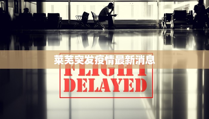 莱芜突发疫情最新消息 莱芜突发疫情最新消息