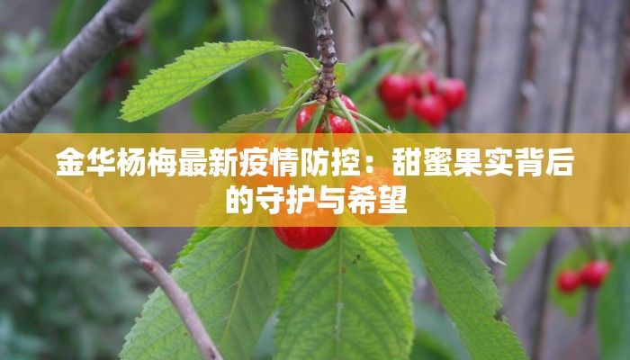 山西朔县疫情最新情况:科学防控与民生守护 山西朔县疫情最新情况:科学防控与民生守护