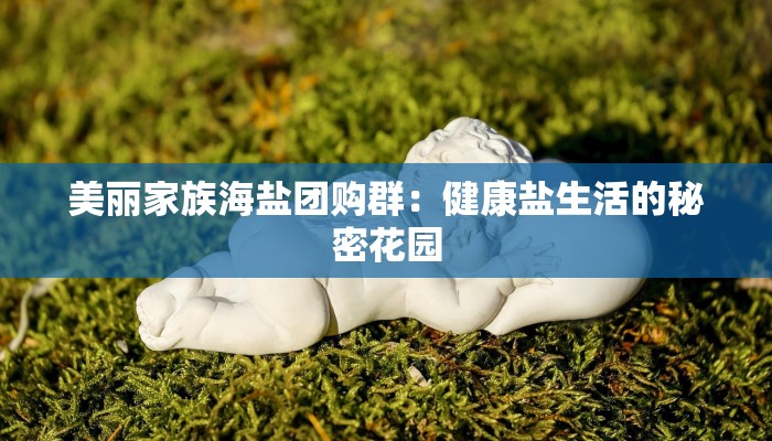 美丽家族海盐团购群:健康盐生活的秘密花园 美丽家族海盐团购群:健康盐生活的秘密花园