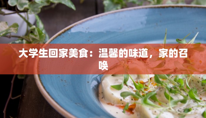大学生回家美食:温馨的味道,家的召唤 大学生回家美食:温馨的味道,家的召唤