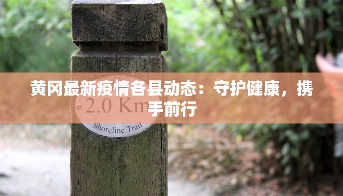 黄冈最新疫情各县动态：守护健康，携手前行