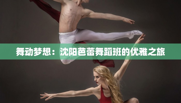 舞动梦想：沈阳芭蕾舞蹈班的优雅之旅