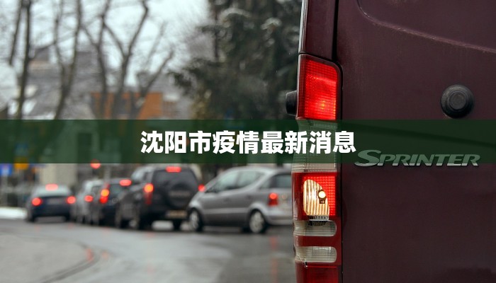 瑞丽最新疫情情况昨天 瑞丽最新疫情情况昨天