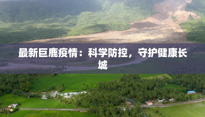 最新巨鹿疫情：科学防控，守护健康长城