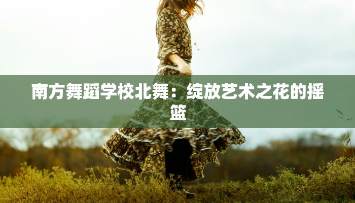 南方舞蹈学校北舞：绽放艺术之花的摇篮