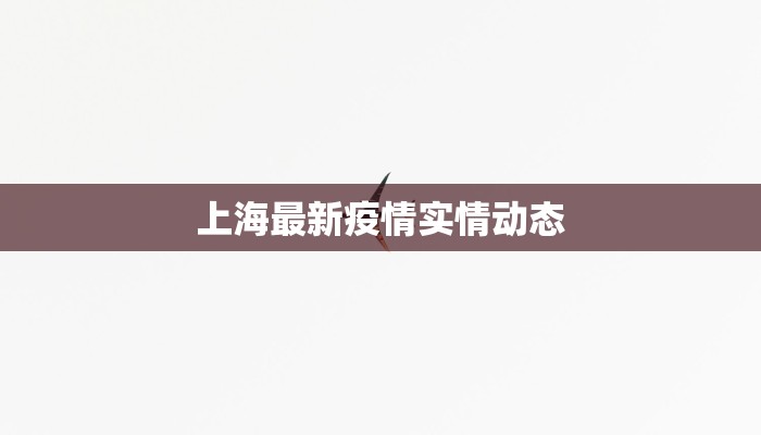 上海最新疫情实情动态
