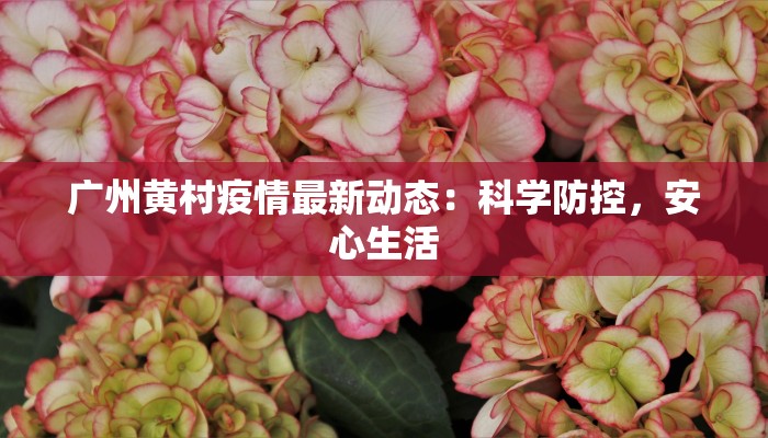 疫情最新尉氏：守护家园，科学防控