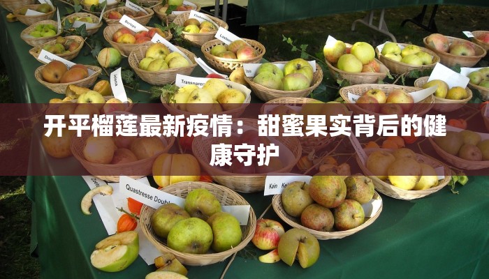 甘肃庆云最新疫情：科学防控，守护健康新篇章