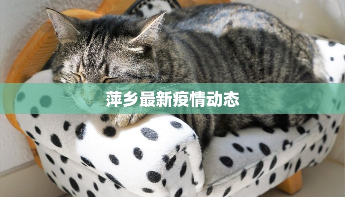 萍乡最新疫情动态