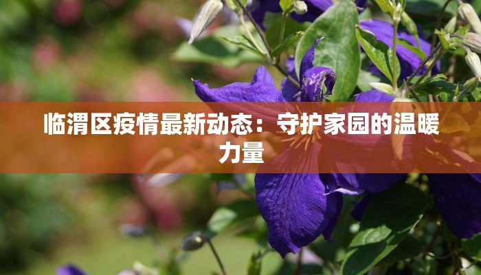 济南疫情最新资讯：科学防控，共筑健康屏障