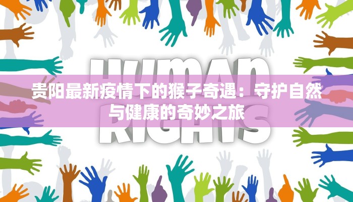 贵阳最新疫情下的猴子奇遇：守护自然与健康的奇妙之旅