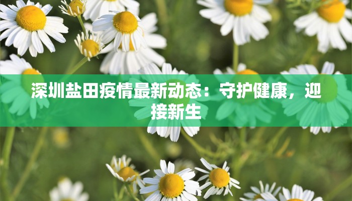 深圳盐田疫情最新动态:守护健康,迎接新生 深圳盐田疫情最新动态:守护健康,迎接新生