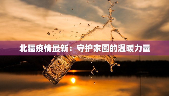 北疆疫情最新：守护家园的温暖力量