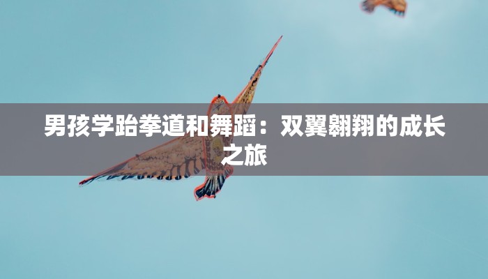 男孩学跆拳道和舞蹈:双翼翱翔的成长之旅 男孩学跆拳道和舞蹈:双翼翱翔的成长之旅