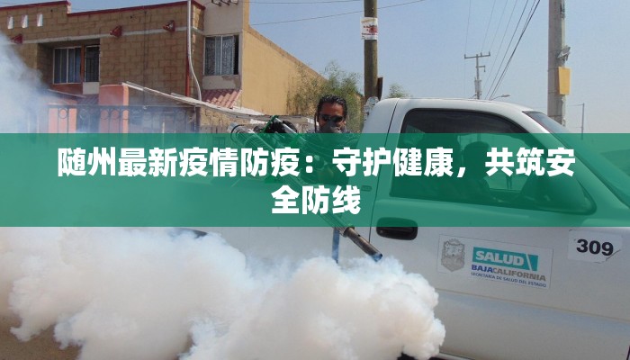 随州最新疫情防疫：守护健康，共筑安全防线