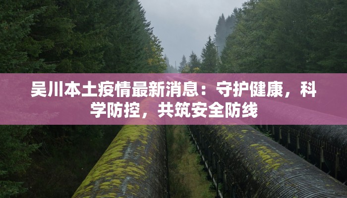吴川本土疫情最新消息：守护健康，科学防控，共筑安全防线