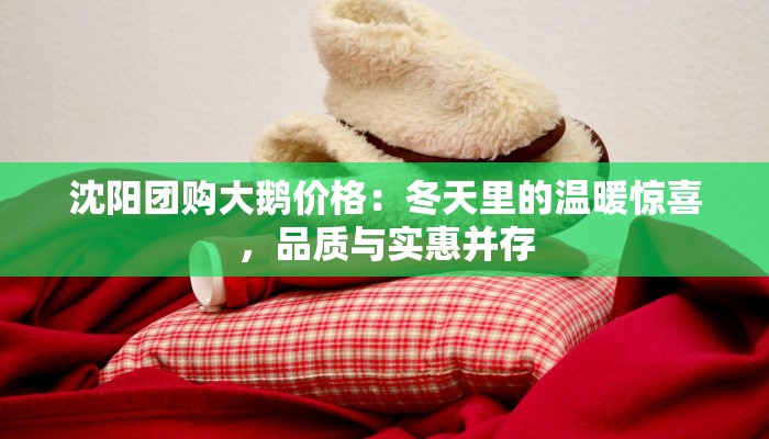 沈阳团购大鹅价格:冬天里的温暖惊喜,品质与实惠并存 沈阳团购大鹅价格:冬天里的温暖惊喜,品质与实惠并存
