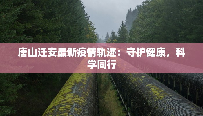 唐山迁安最新疫情轨迹：守护健康，科学同行