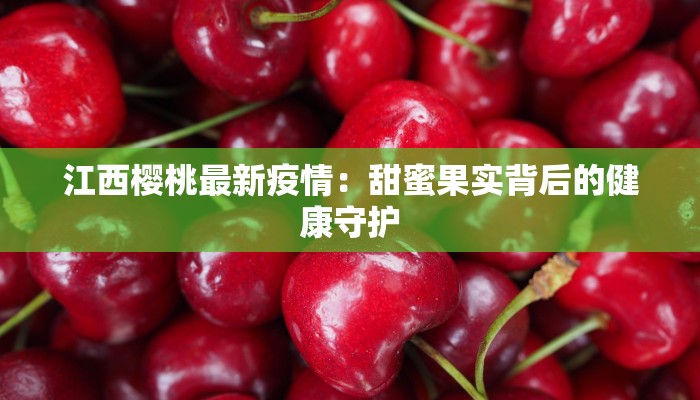 疫情通知沈阳最新