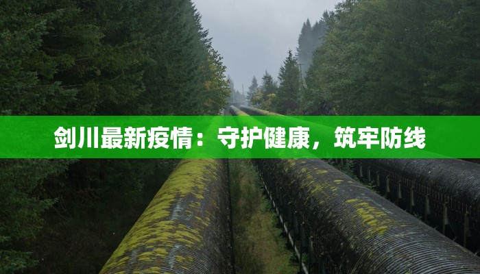 疫情最新报告阜南：守护健康，科学防控新篇章