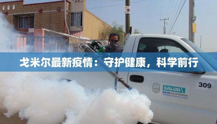 戈米尔最新疫情：守护健康，科学前行