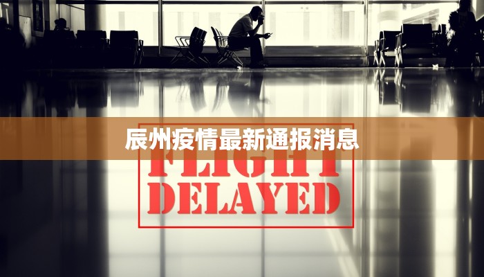 马蒂斯野兽派舞蹈试讲