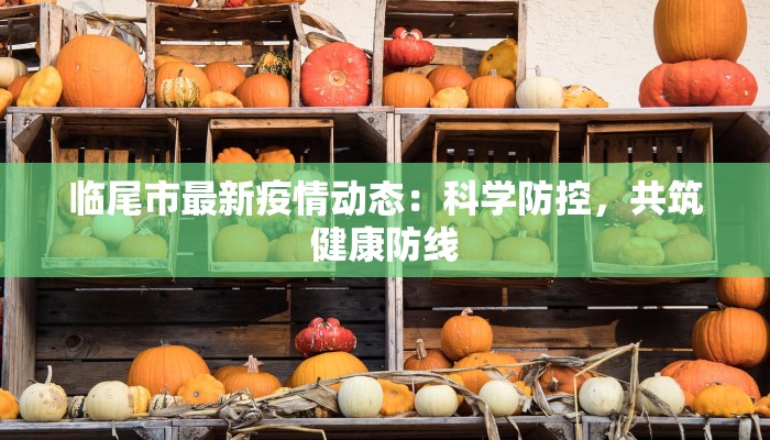 临尾市最新疫情动态：科学防控，共筑健康防线